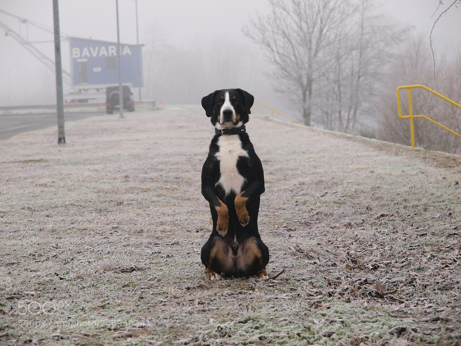 Olympus E-3 sample photo. Cold hotdog photography