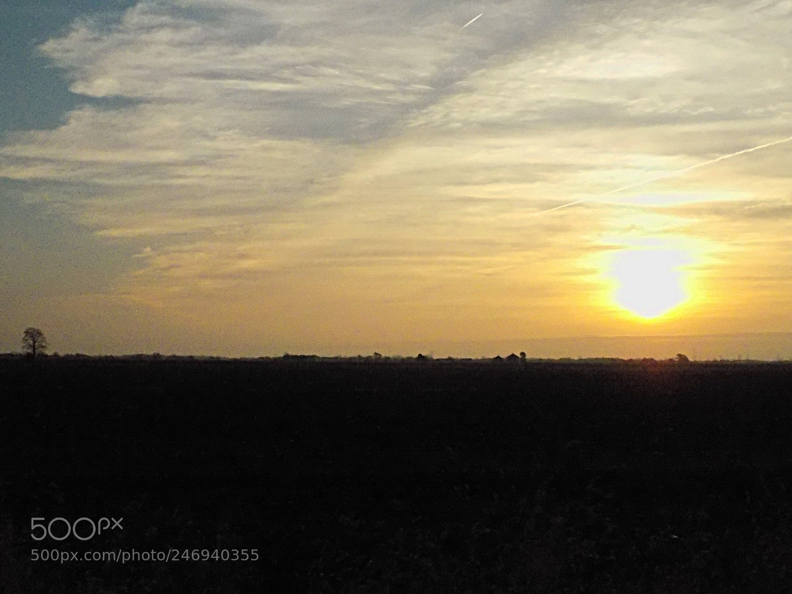 Nikon COOLPIX L340 sample photo. Lonetreesunrise photography