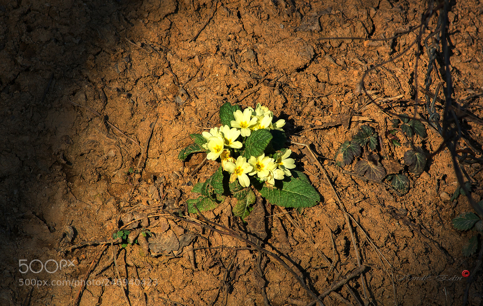 Nikon D7100 sample photo. Positive mood against darkness photography
