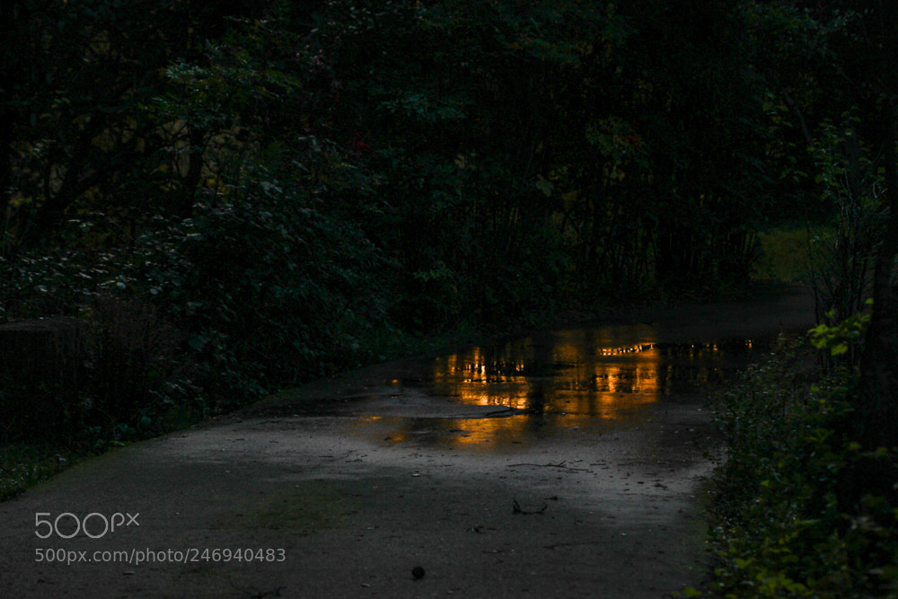 Canon EOS 7D sample photo. The golden puddle photography
