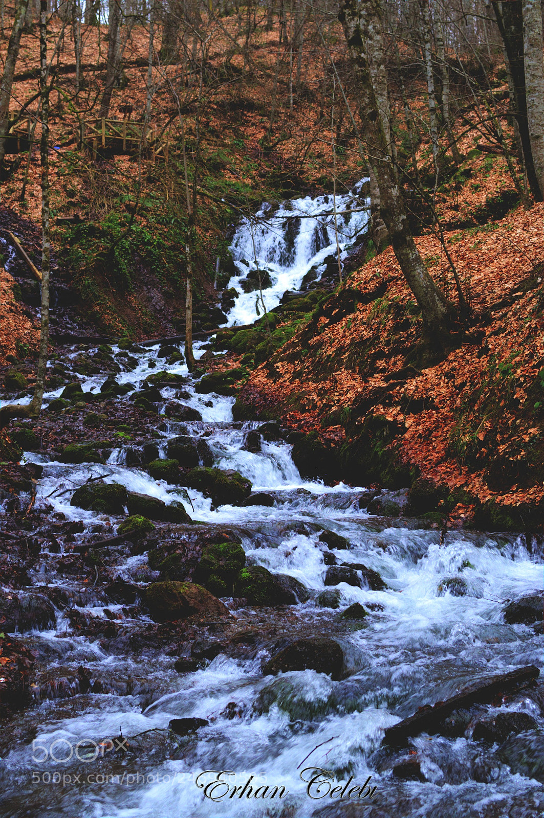 Nikon D3100 sample photo. Bolu photography