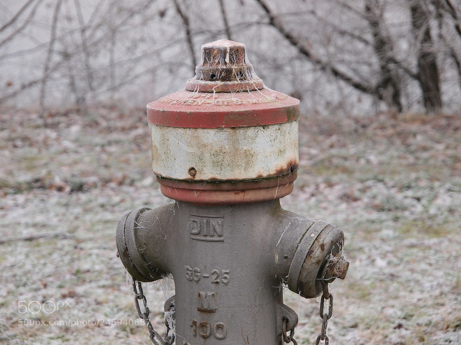 Olympus E-3 sample photo. Hydrant photography