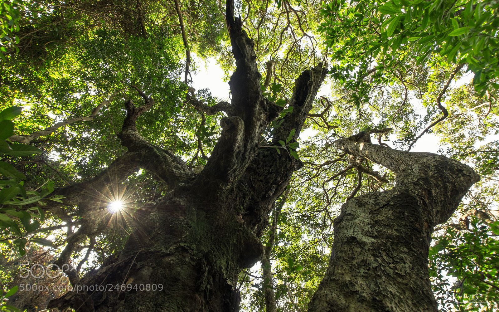Pentax K-3 sample photo. Road to dragon's back photography