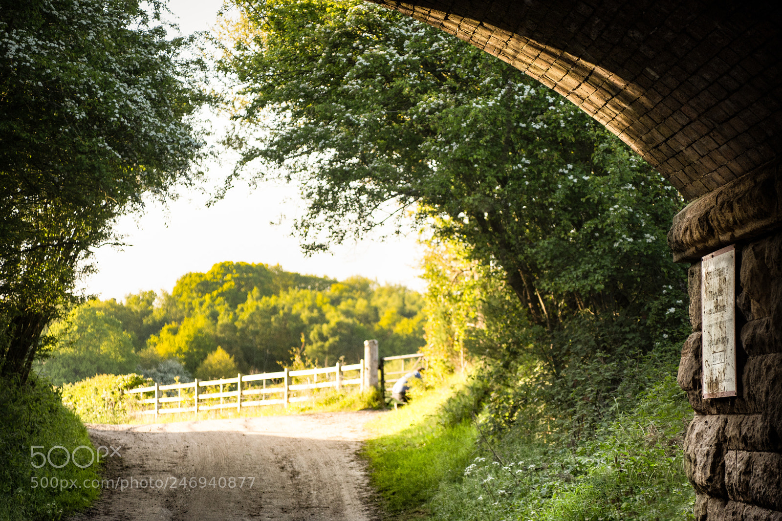 Nikon D7200 sample photo. Framed by a railway photography