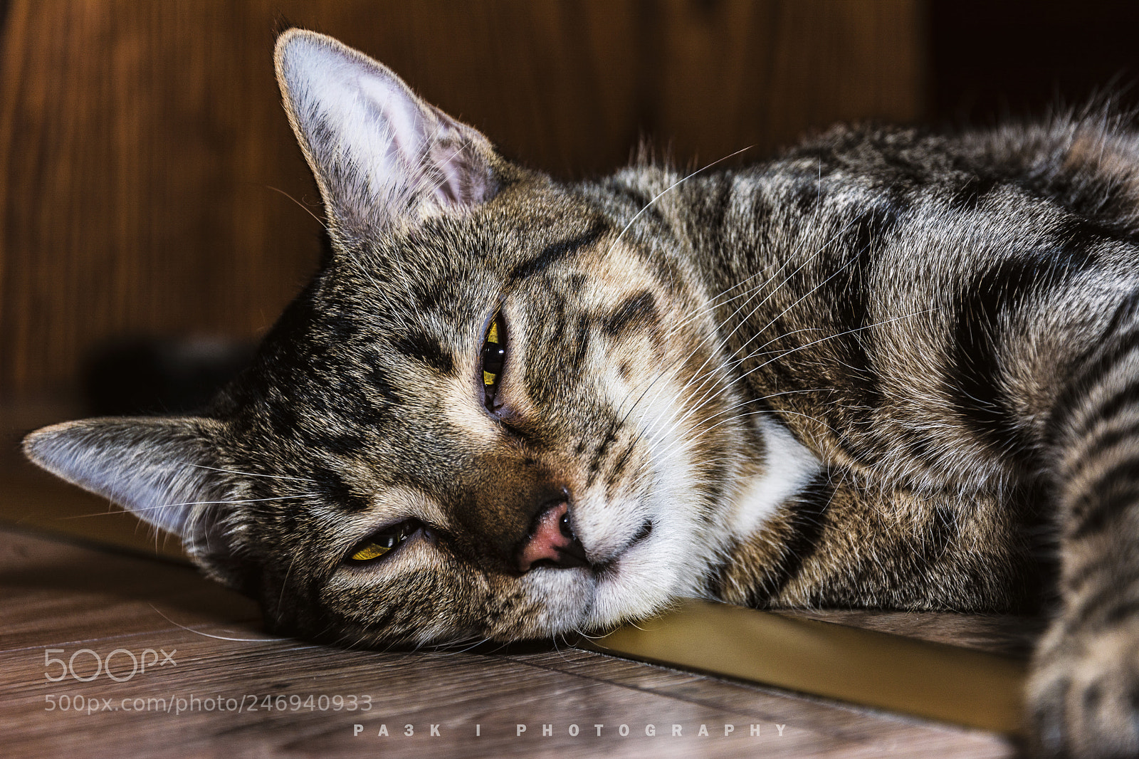 Nikon D5200 sample photo. Good night photography