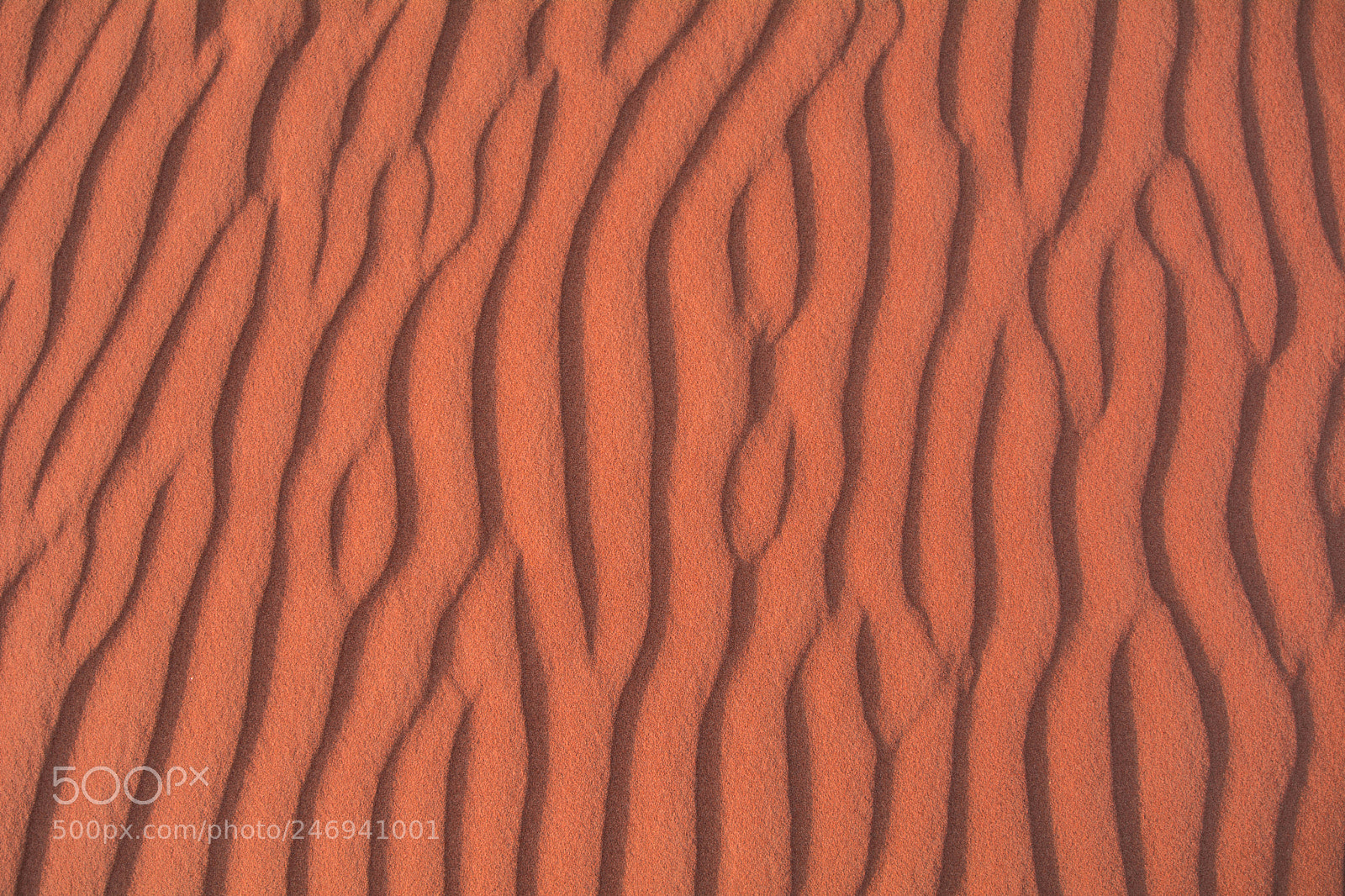 Nikon D7100 sample photo. Dubai desert 2 photography
