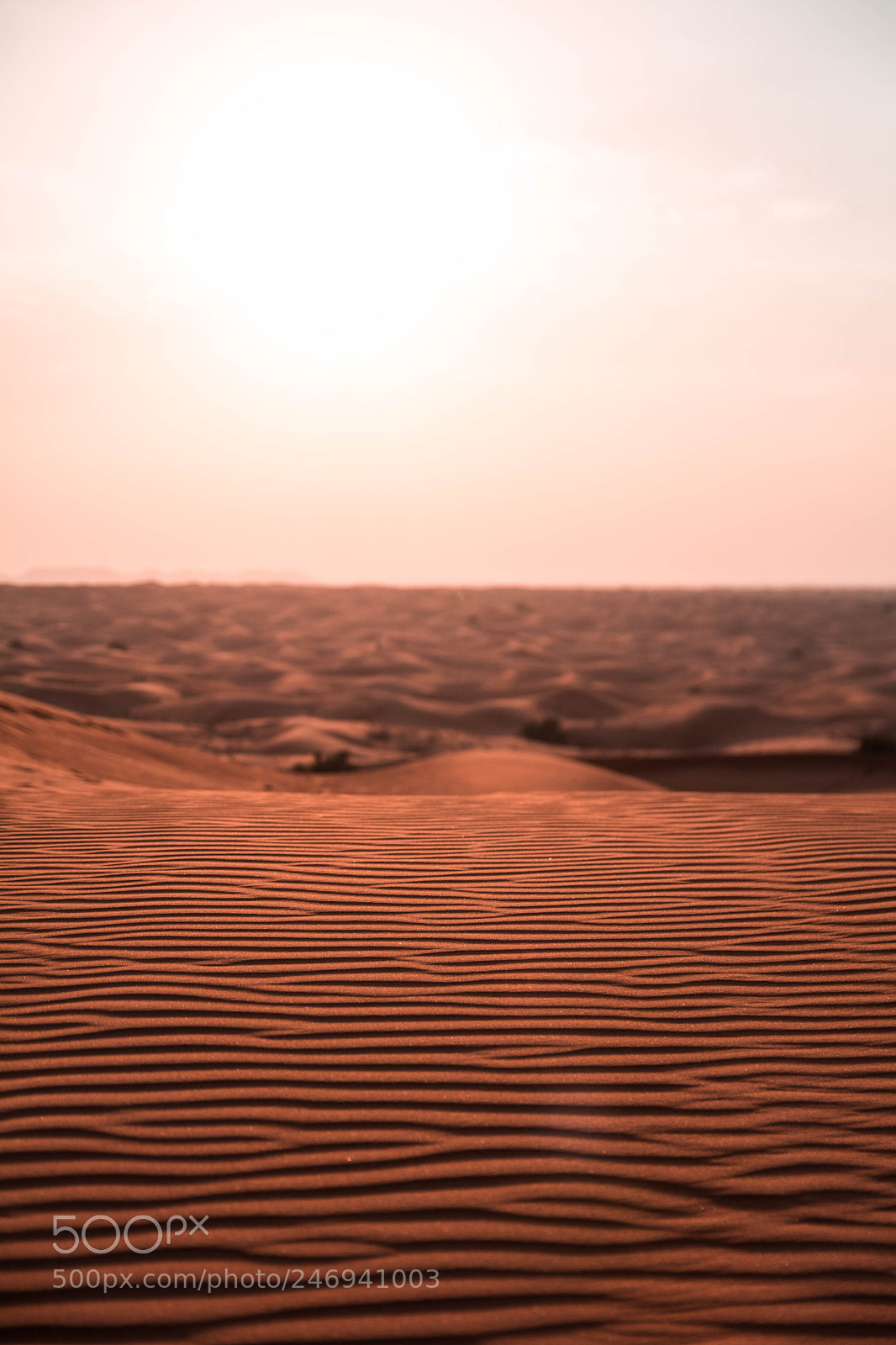 Nikon D7100 sample photo. Dubai desert 3 photography