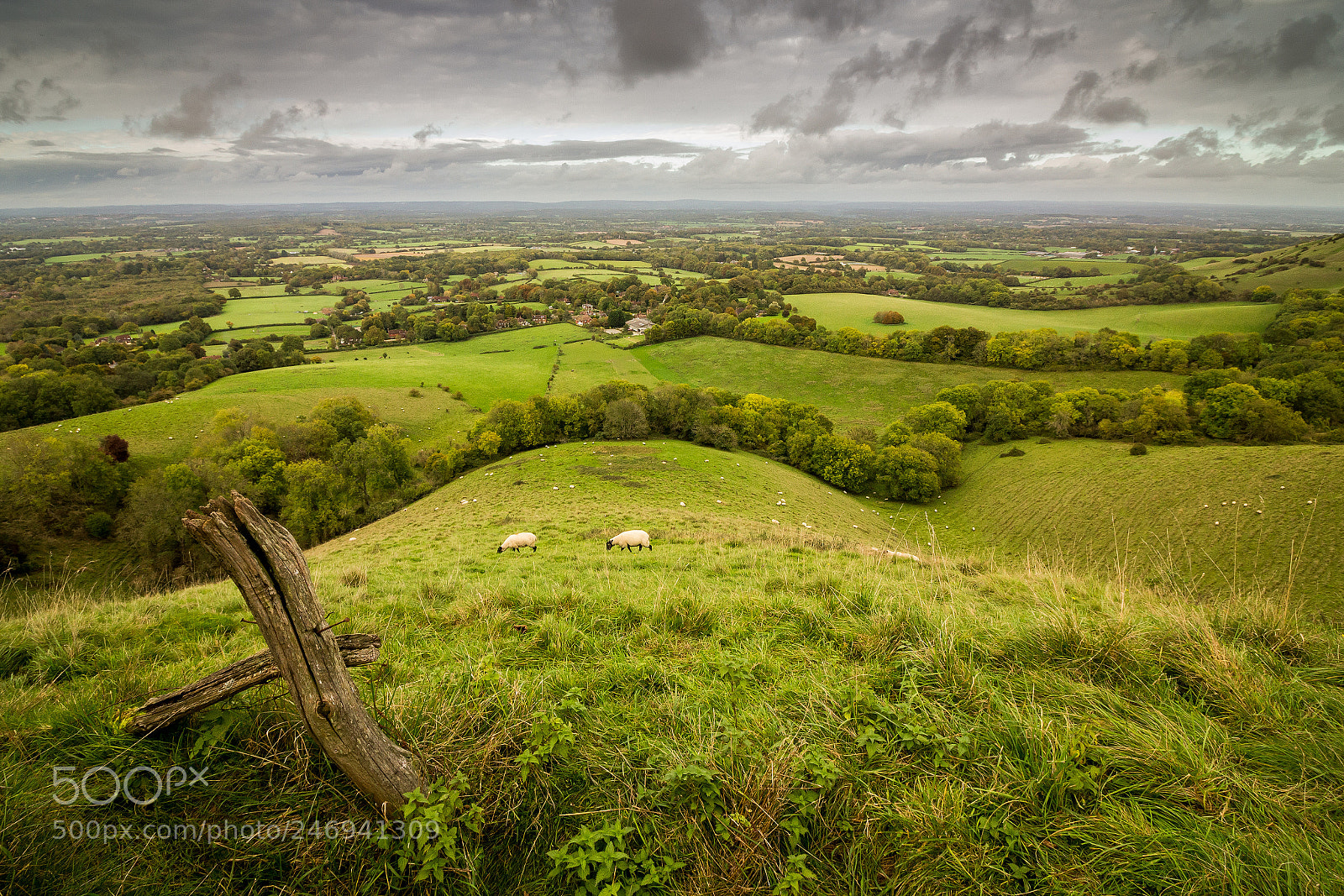 Canon EOS 100D (EOS Rebel SL1 / EOS Kiss X7) sample photo. South downs view photography