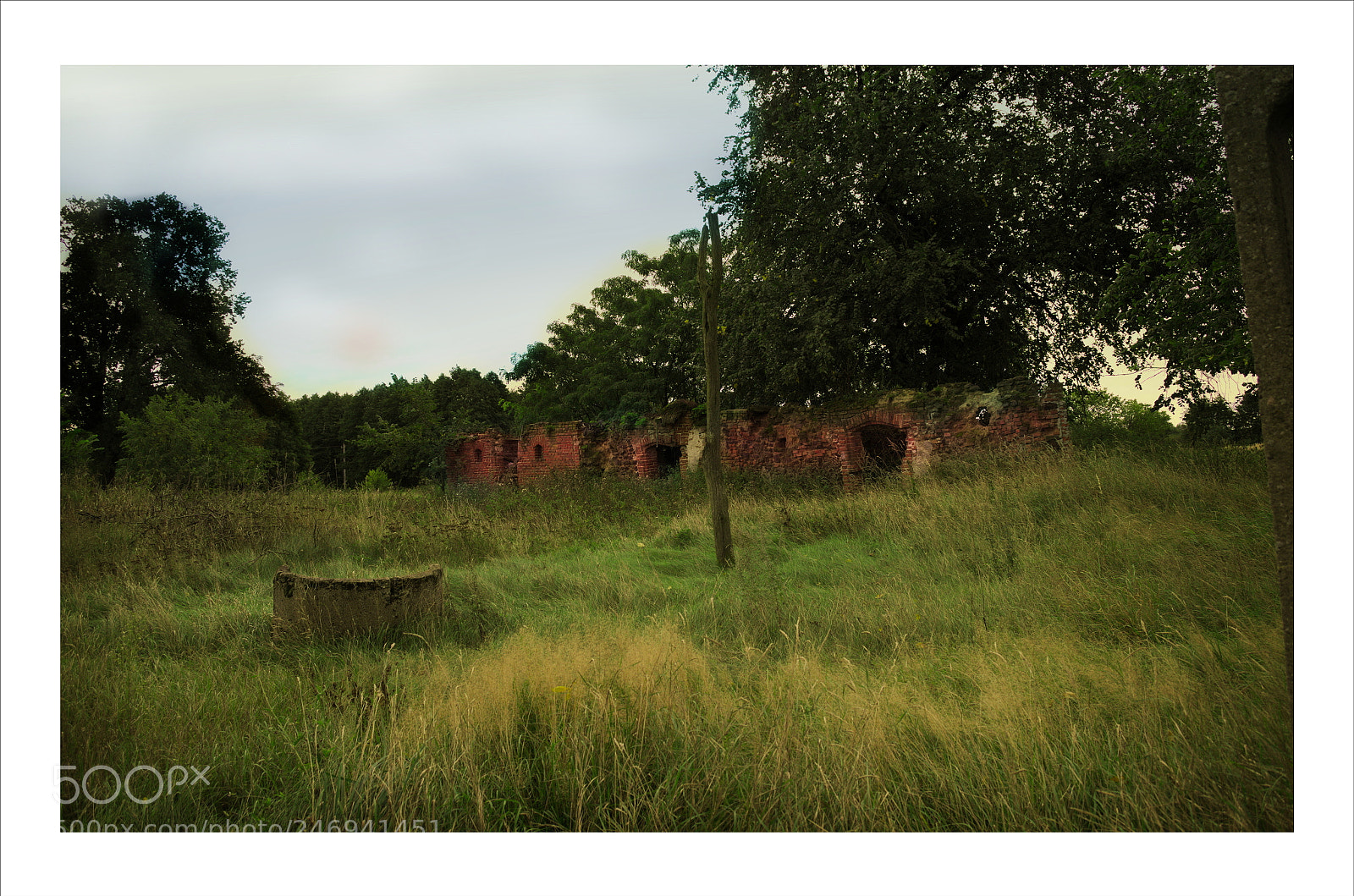 Nikon D5100 sample photo. Borowiec photography