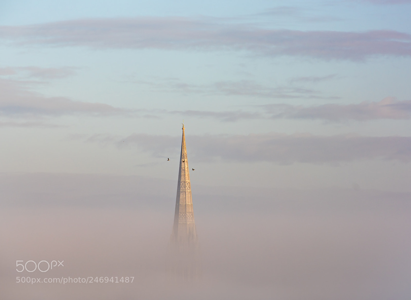 Nikon D810 sample photo. Rising above the clouds photography