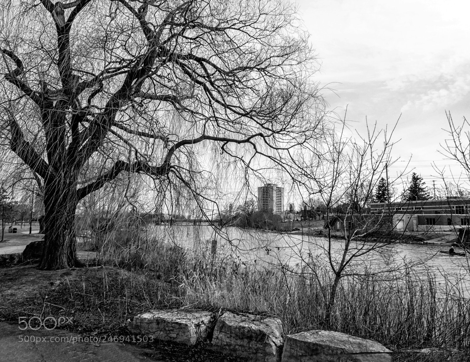 Canon PowerShot G10 sample photo. Port credit photography