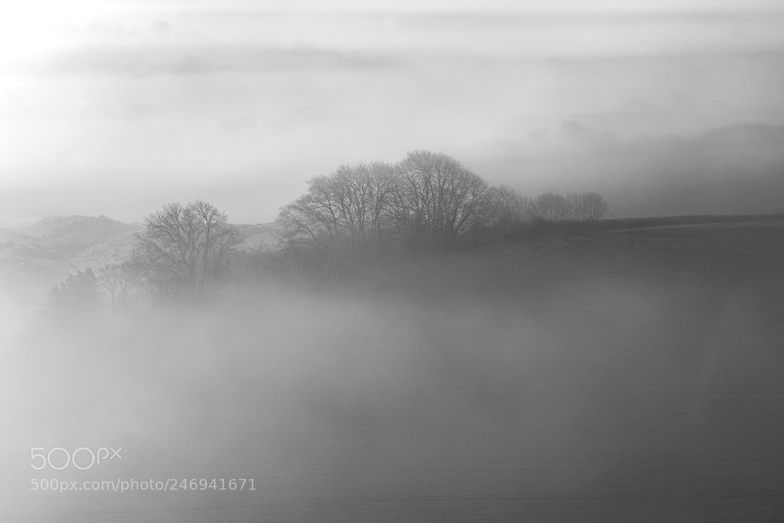 Nikon D800 sample photo. Early morning mist photography