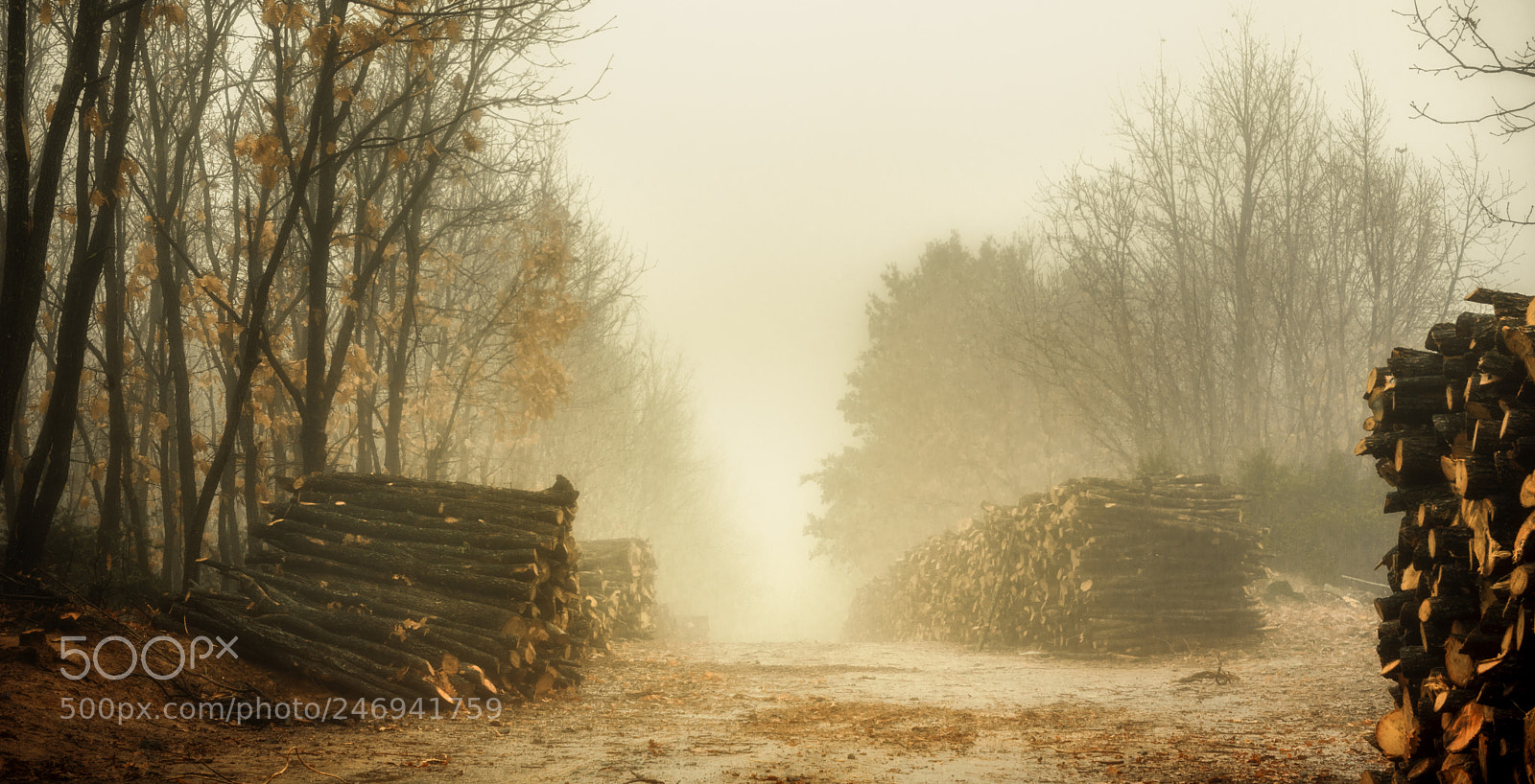 Nikon D7200 sample photo. Τhe Βodies photography