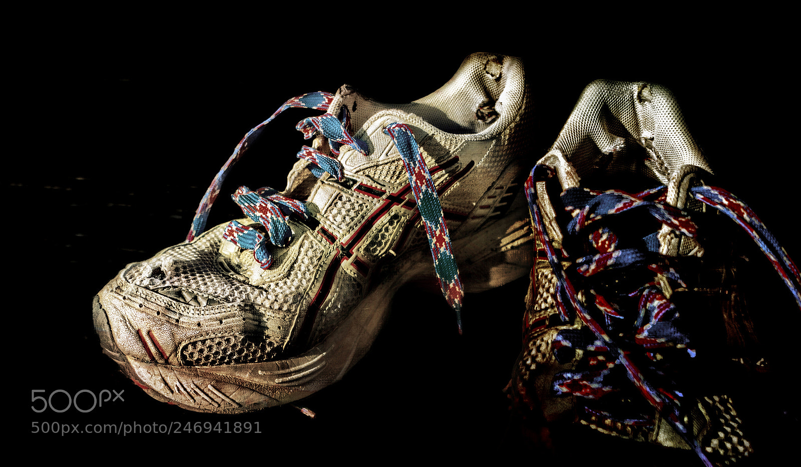Sony a7R sample photo. They walked together.. photography