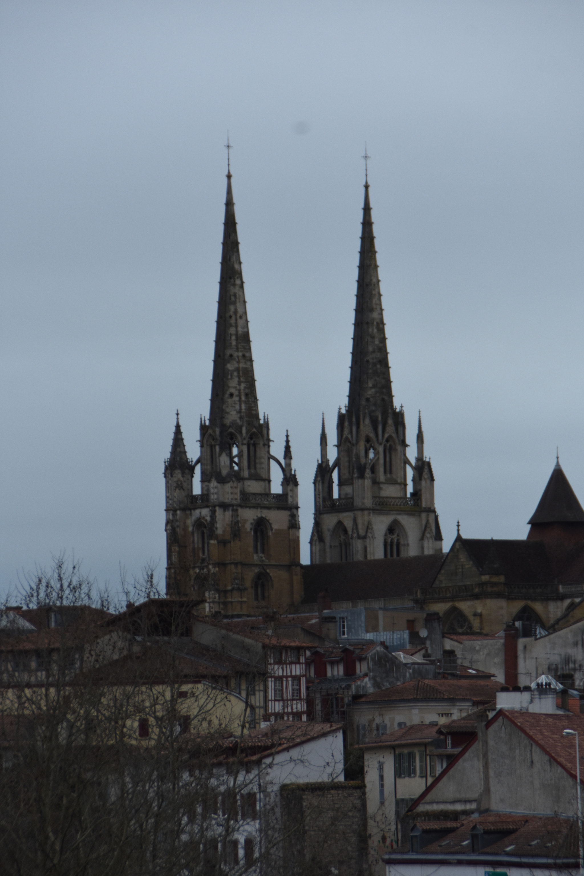 Nikon D7200 sample photo. Avenue andré grimard photography