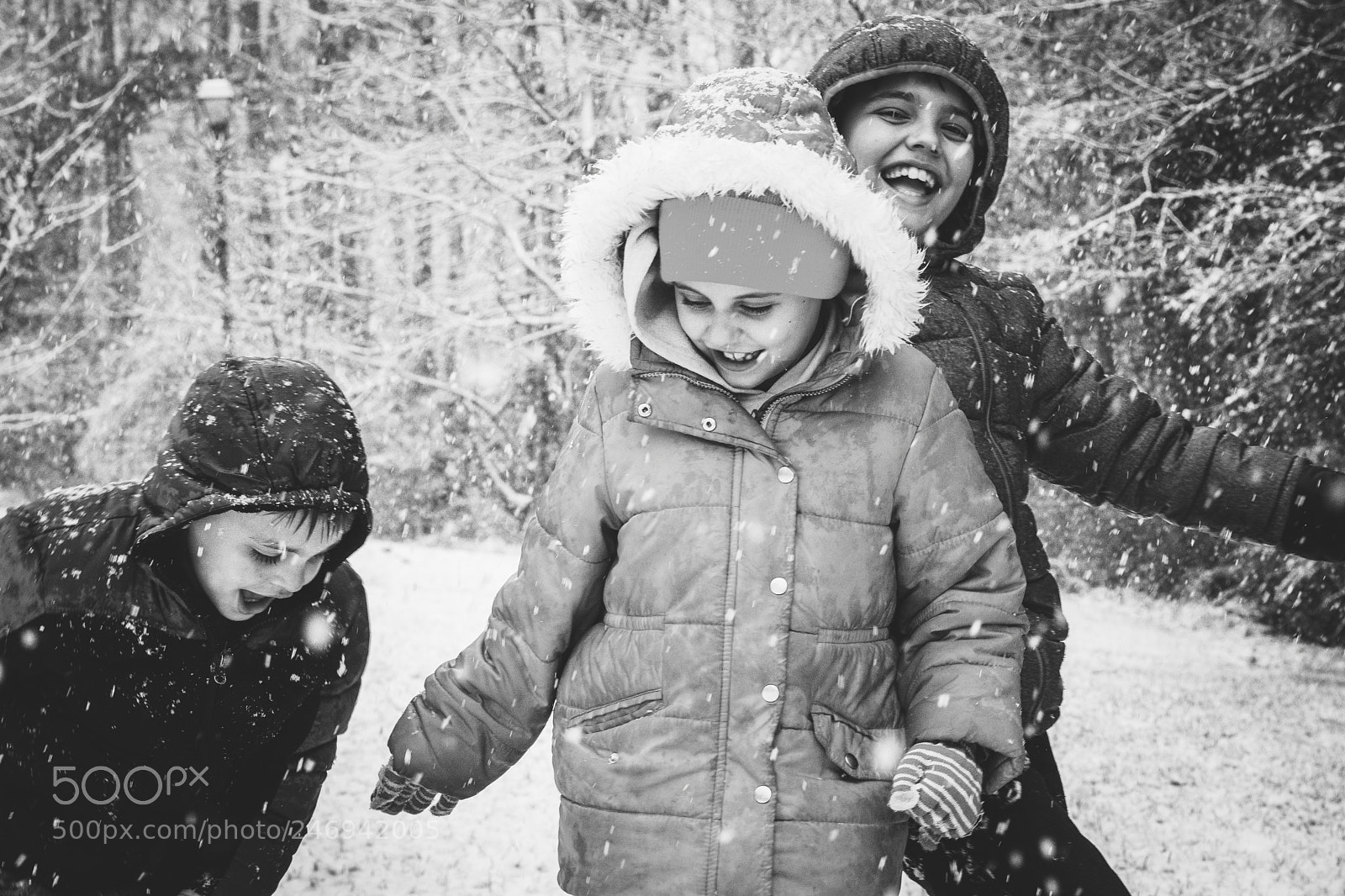 Nikon D7200 sample photo. Snow day photography