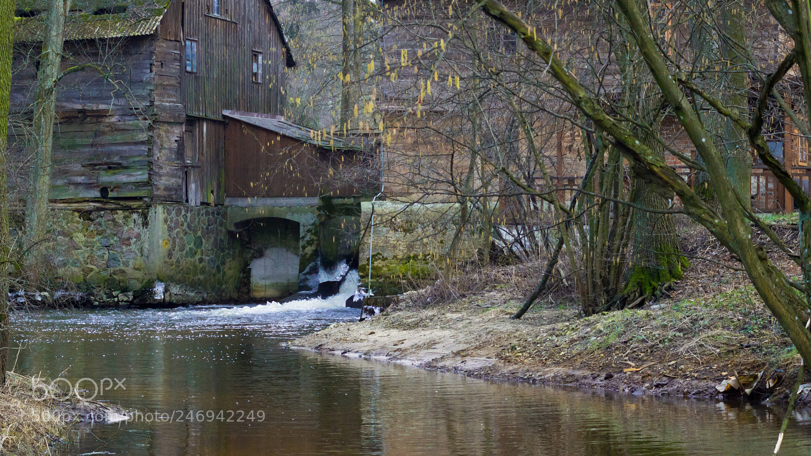 Sony SLT-A65 (SLT-A65V) sample photo. Untitled photography