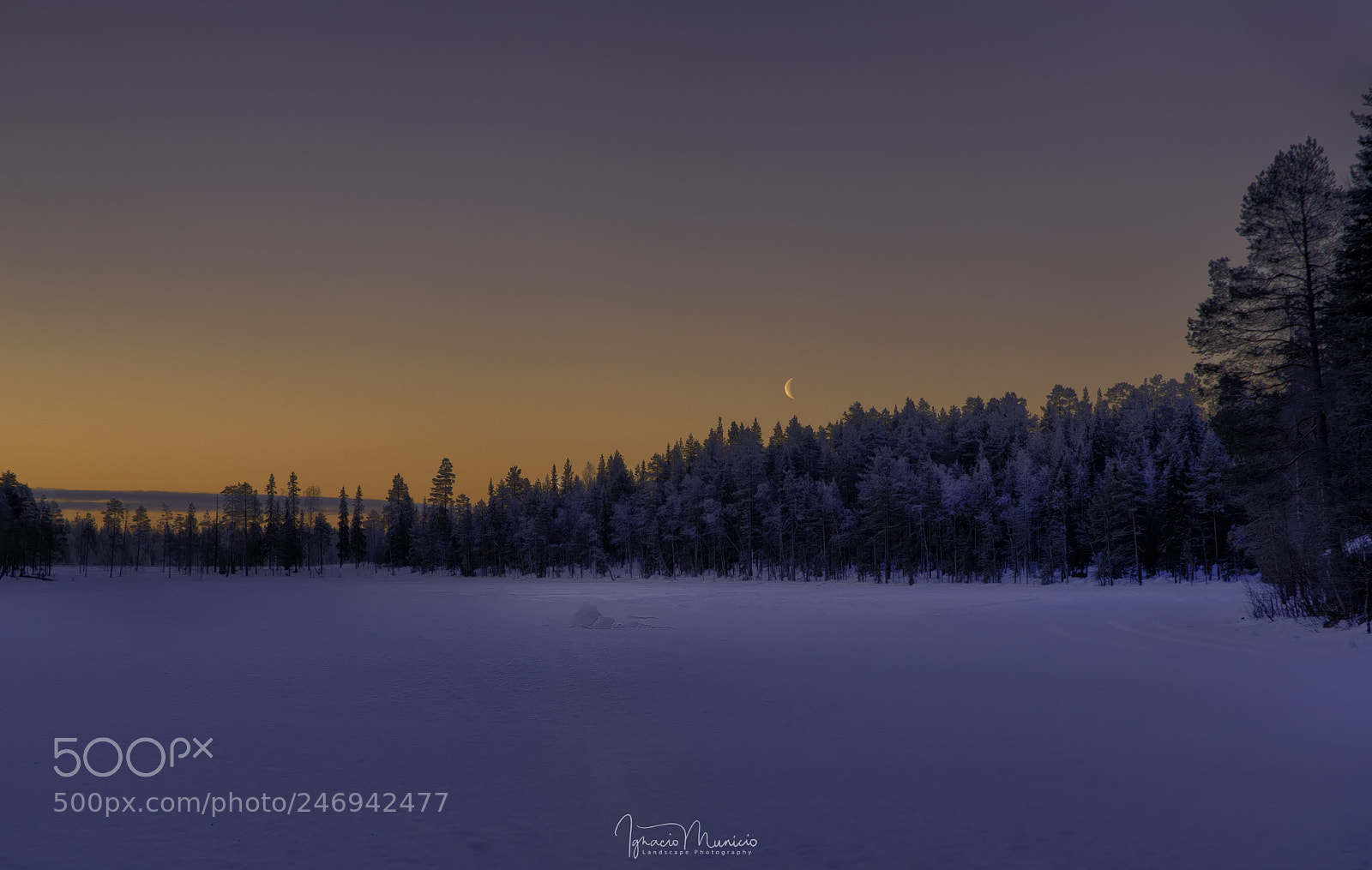 Nikon D600 sample photo. Lapland photography