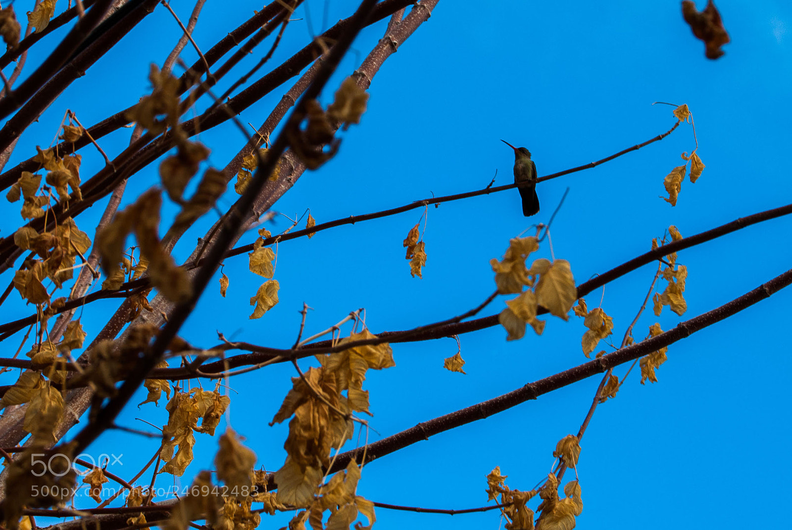 Nikon D40X sample photo. Y sigo esperando... photography