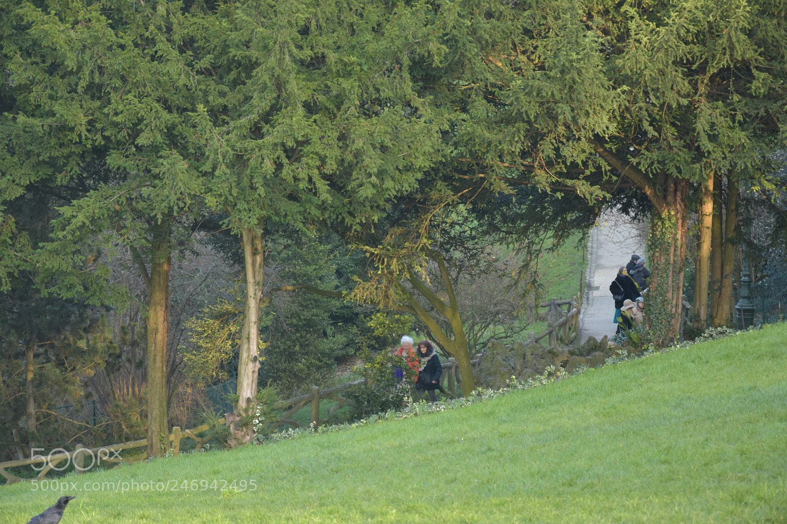 Nikon D3400 sample photo. Buttechaumont photography