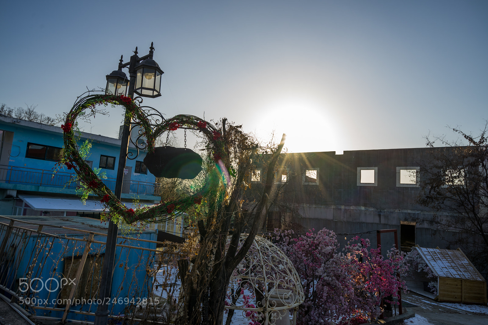 Sony a7 II sample photo. Untitled photography