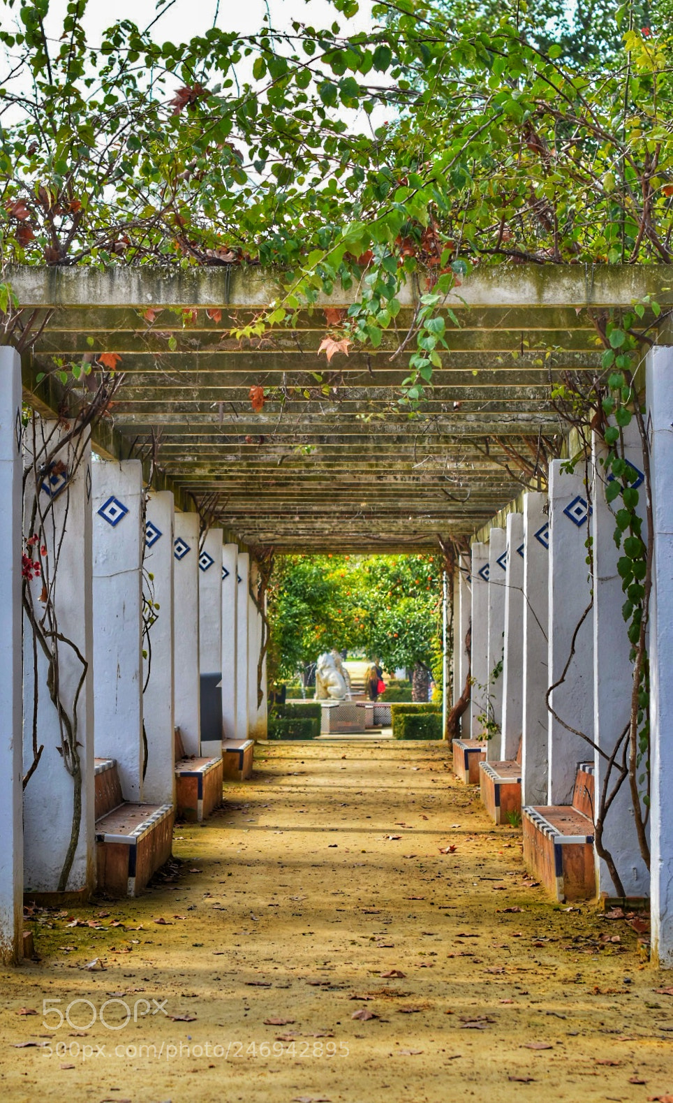 Nikon D5600 sample photo. Parque maria luisa, sevilla photography