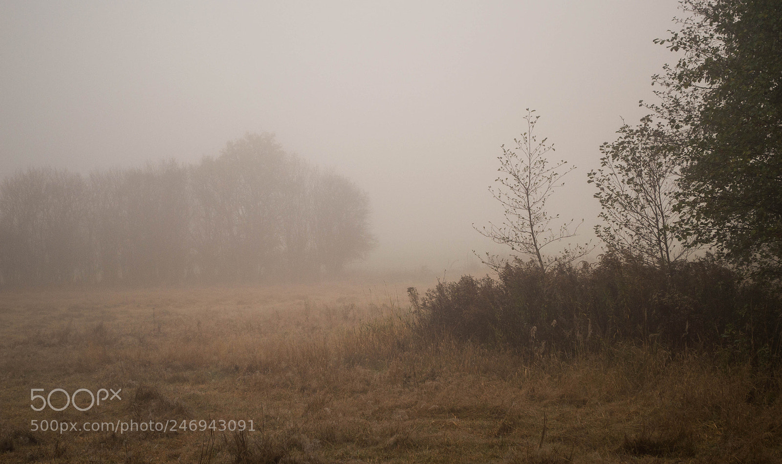 Nikon D3100 sample photo. Untitled photography