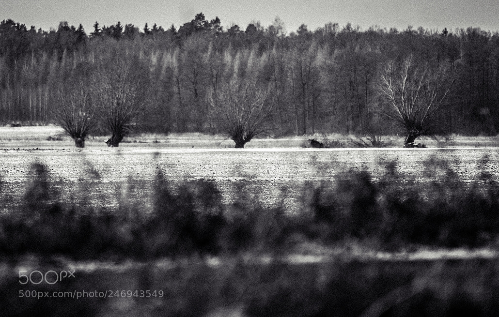 Nikon D90 sample photo. Poland photography