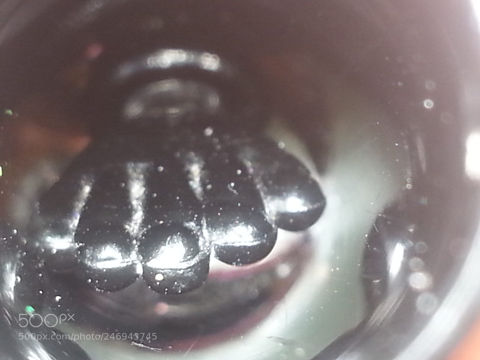 Samsung Galaxy Note2 sample photo. Untitled photography