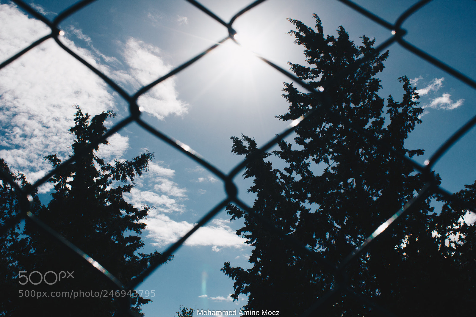 Canon EOS 60D sample photo. Flares photography