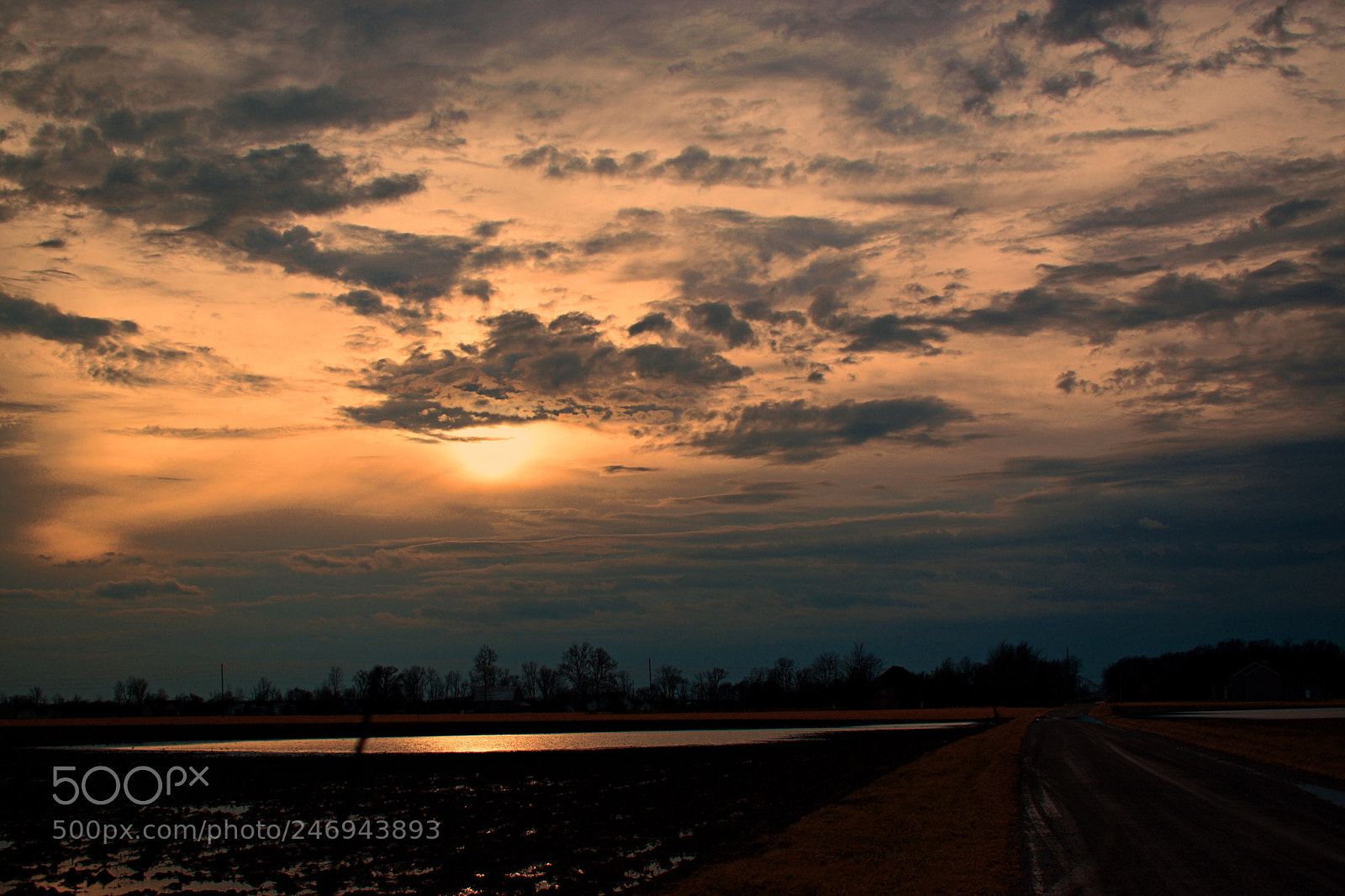 Nikon D5600 sample photo. Back road photography