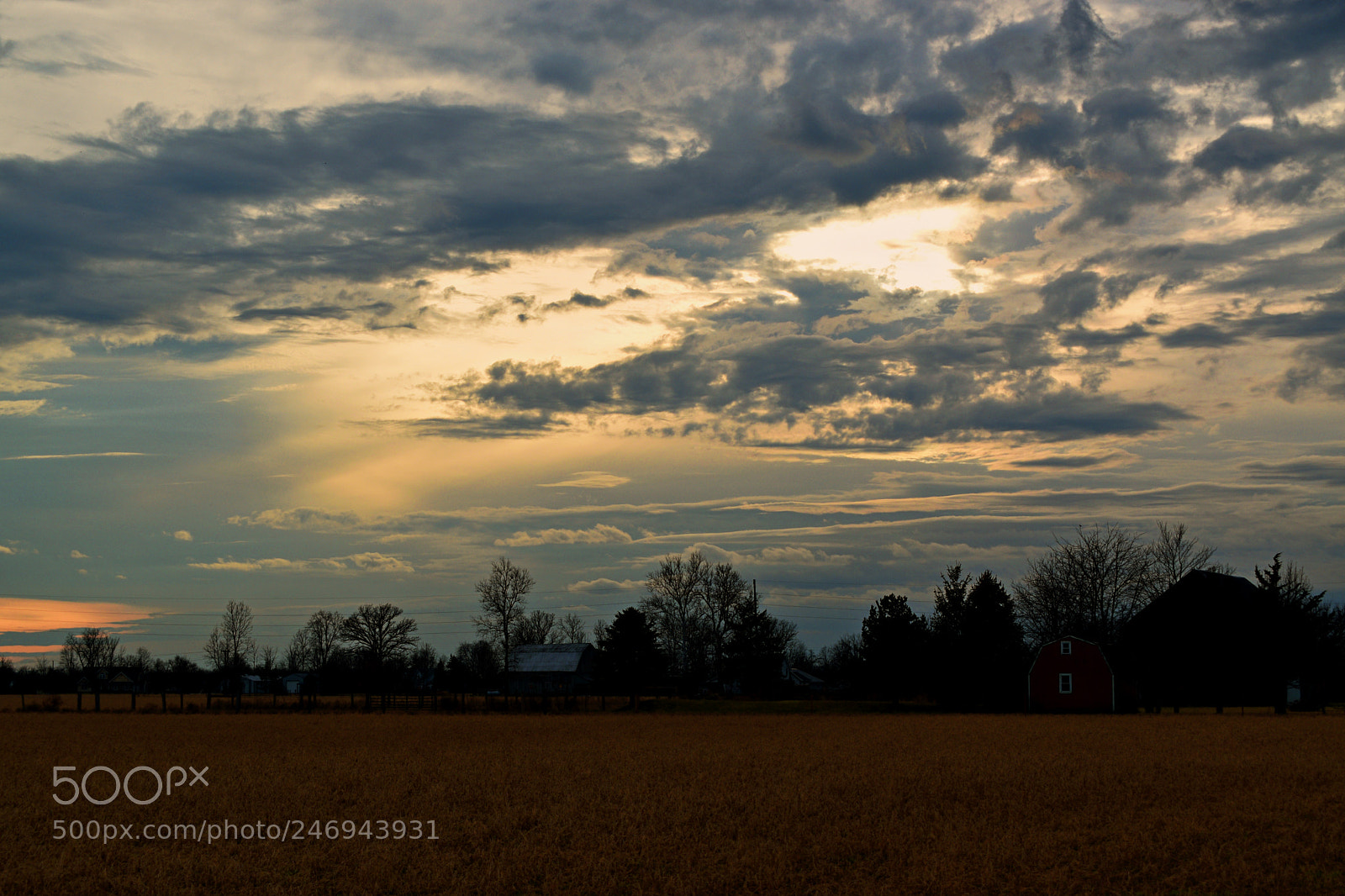 Nikon D5600 sample photo. Cloudy photography