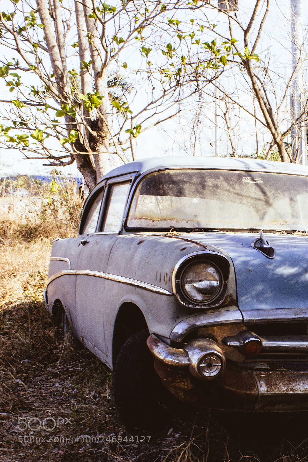 Canon EOS 1200D (EOS Rebel T5 / EOS Kiss X70 / EOS Hi) sample photo. Abandoned old car photography
