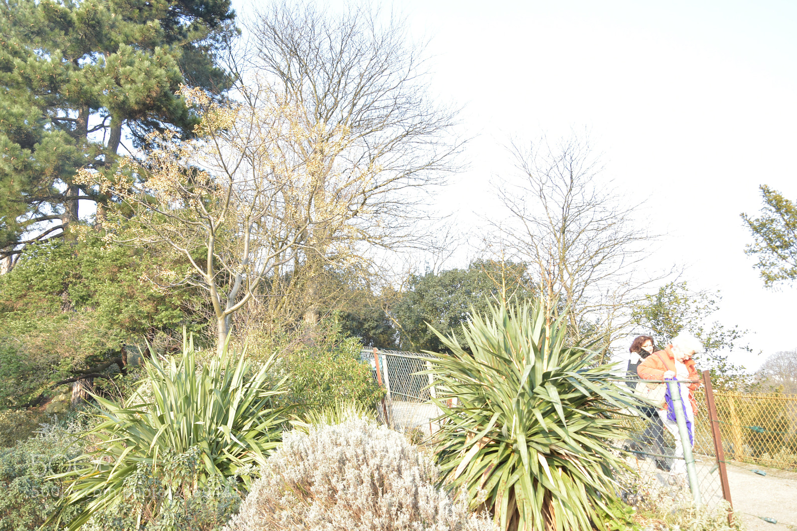 Nikon D3400 sample photo. Buttechaumont photography