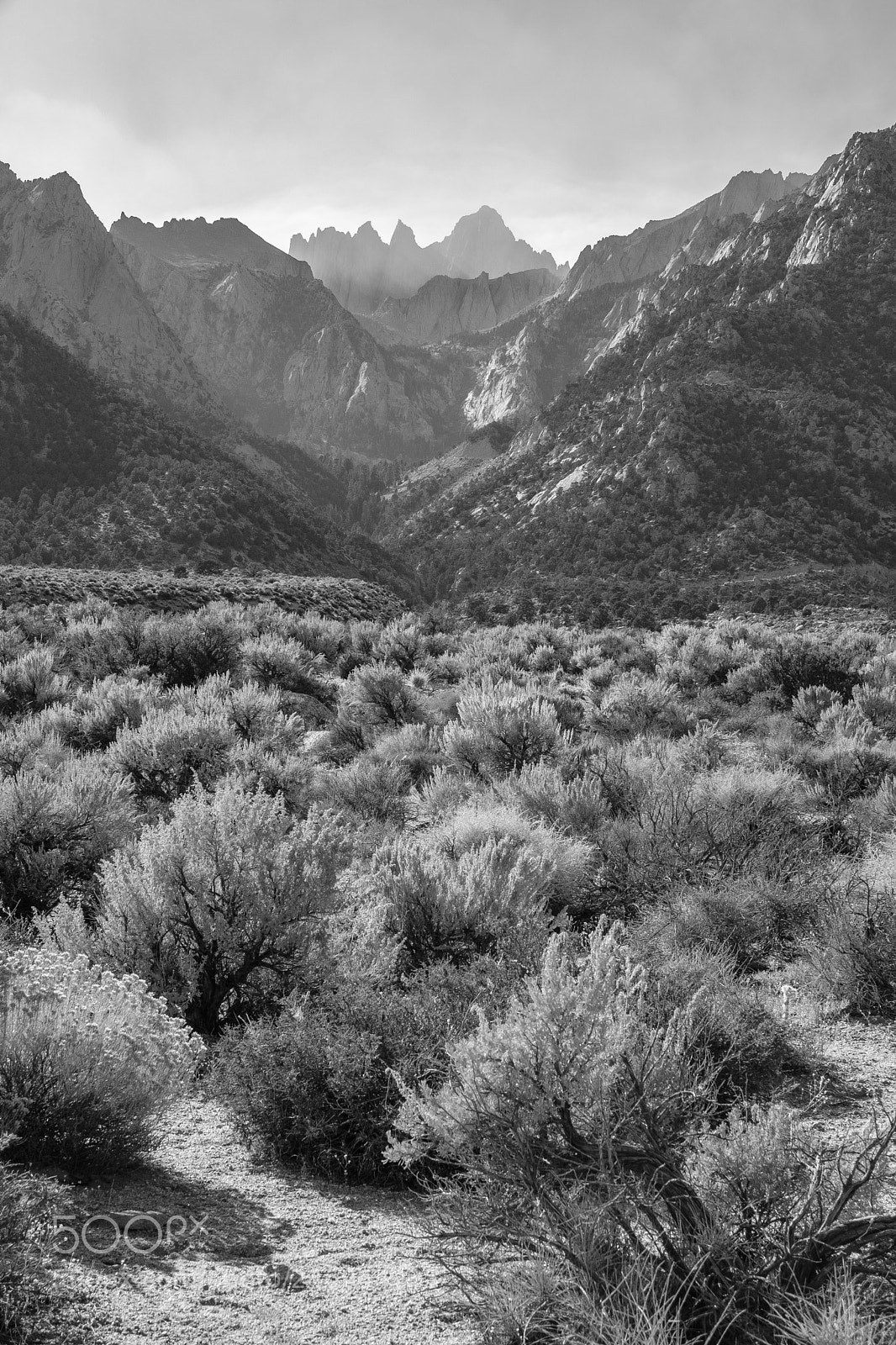 Fujifilm X-T2 sample photo. Mount whitney 5565 photography