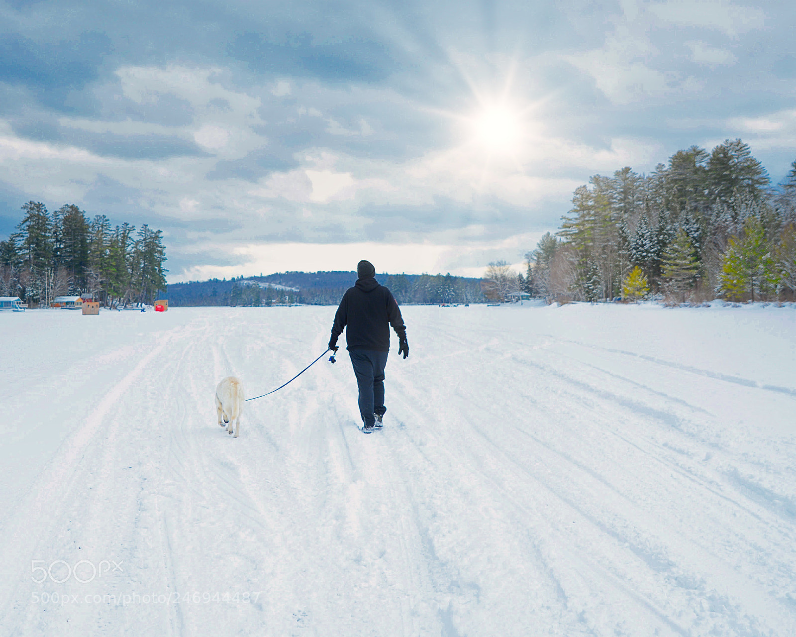 Nikon D7100 sample photo. Winter walk photography