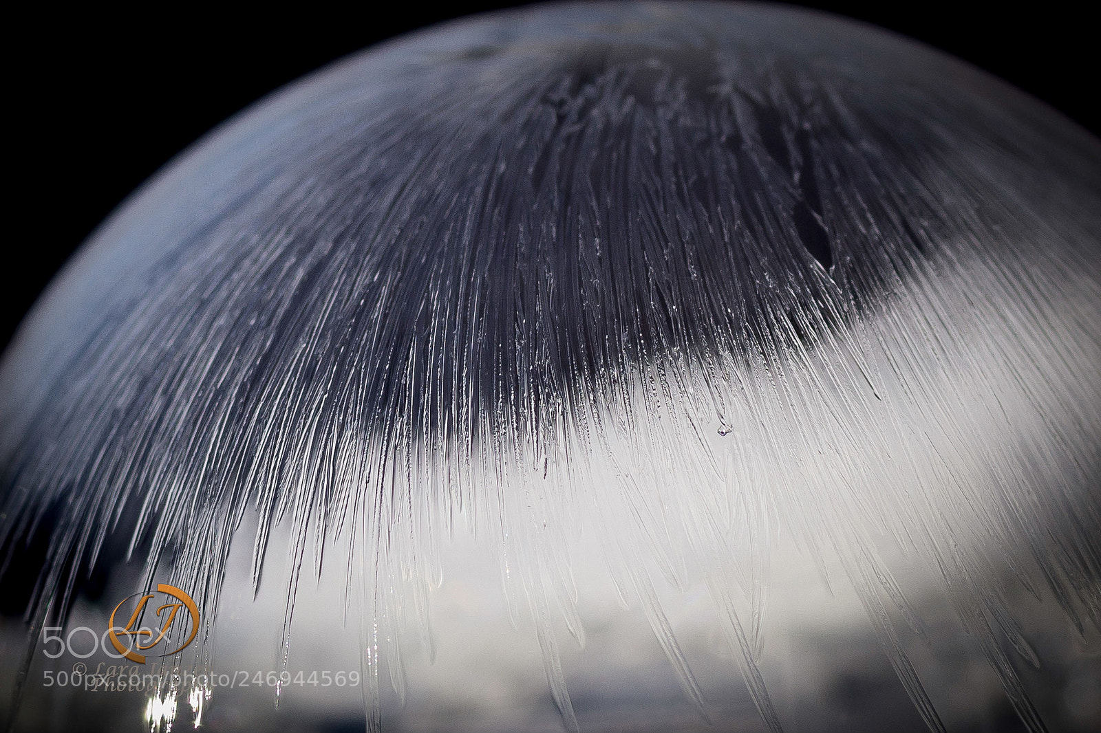 Nikon D7200 sample photo. Soap bubble macro photography