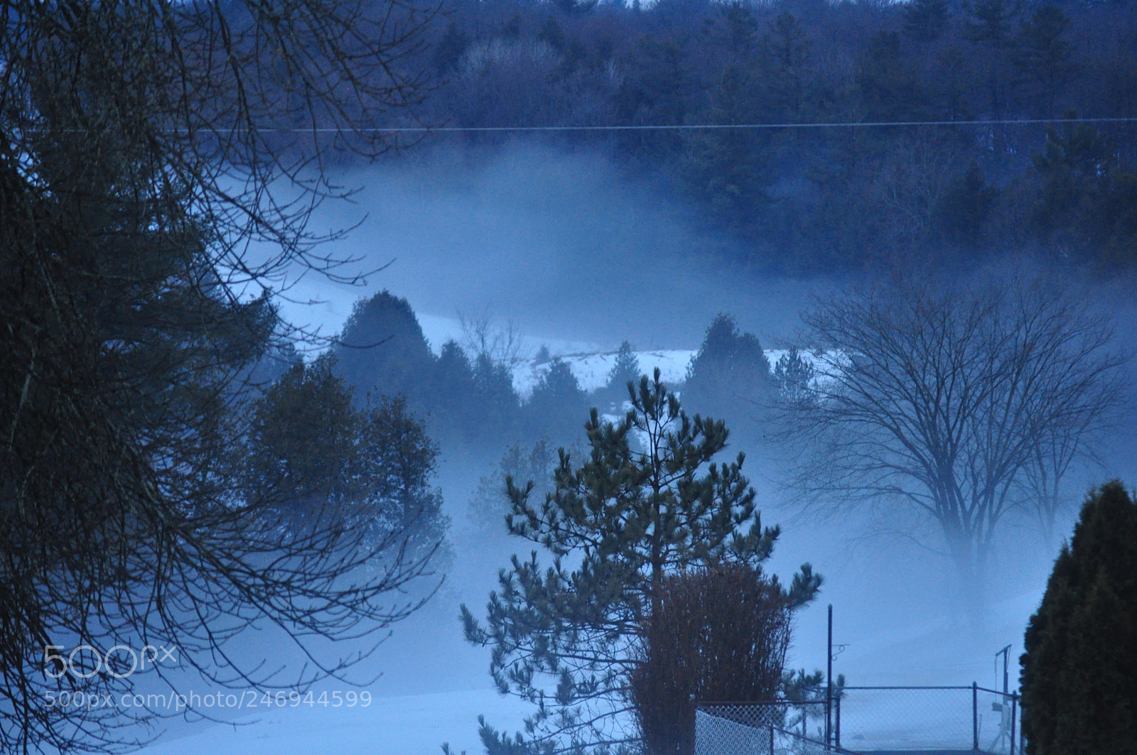 Nikon D5000 sample photo. Morning mist photography