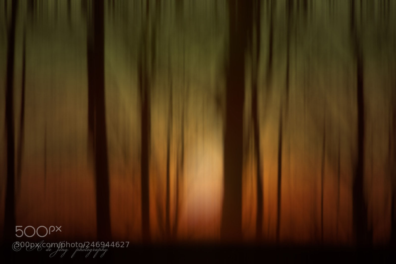 Nikon D610 sample photo. Abstract photography