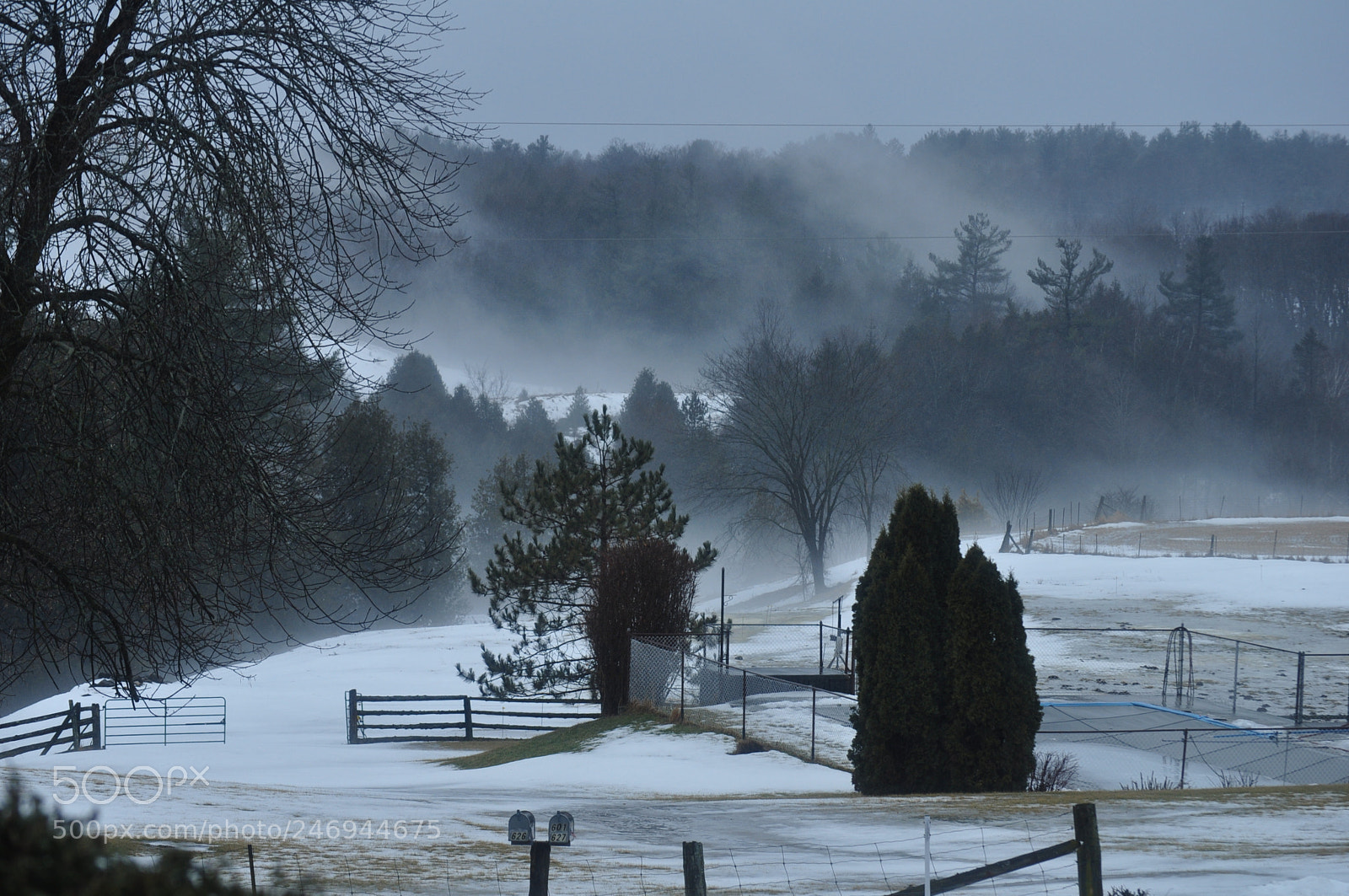 Nikon D5000 sample photo. Country morning photography