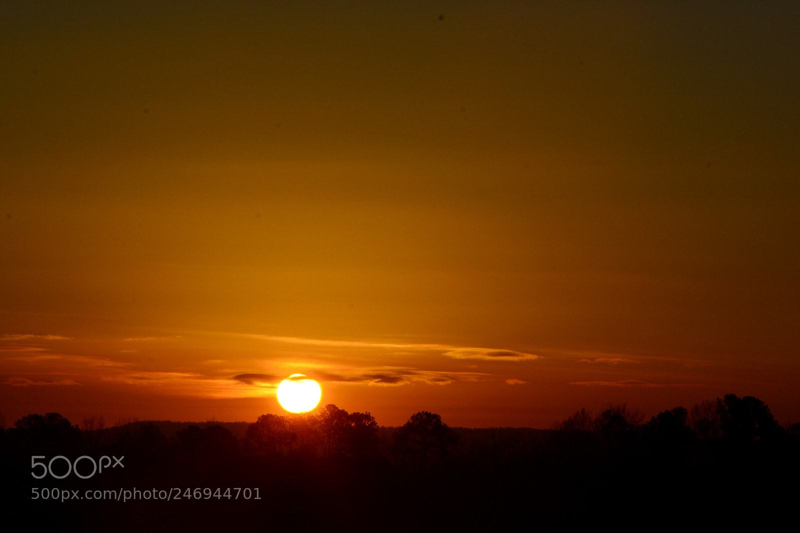 Nikon D7100 sample photo. Sunrise 2/20/18 color photography