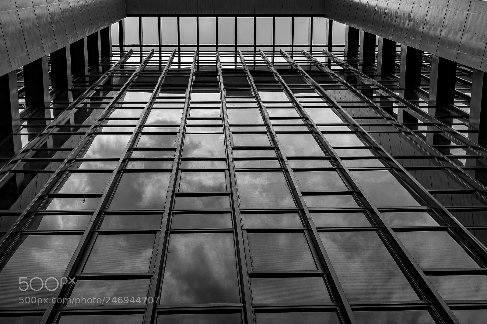 Nikon D7200 sample photo. Lines. photography