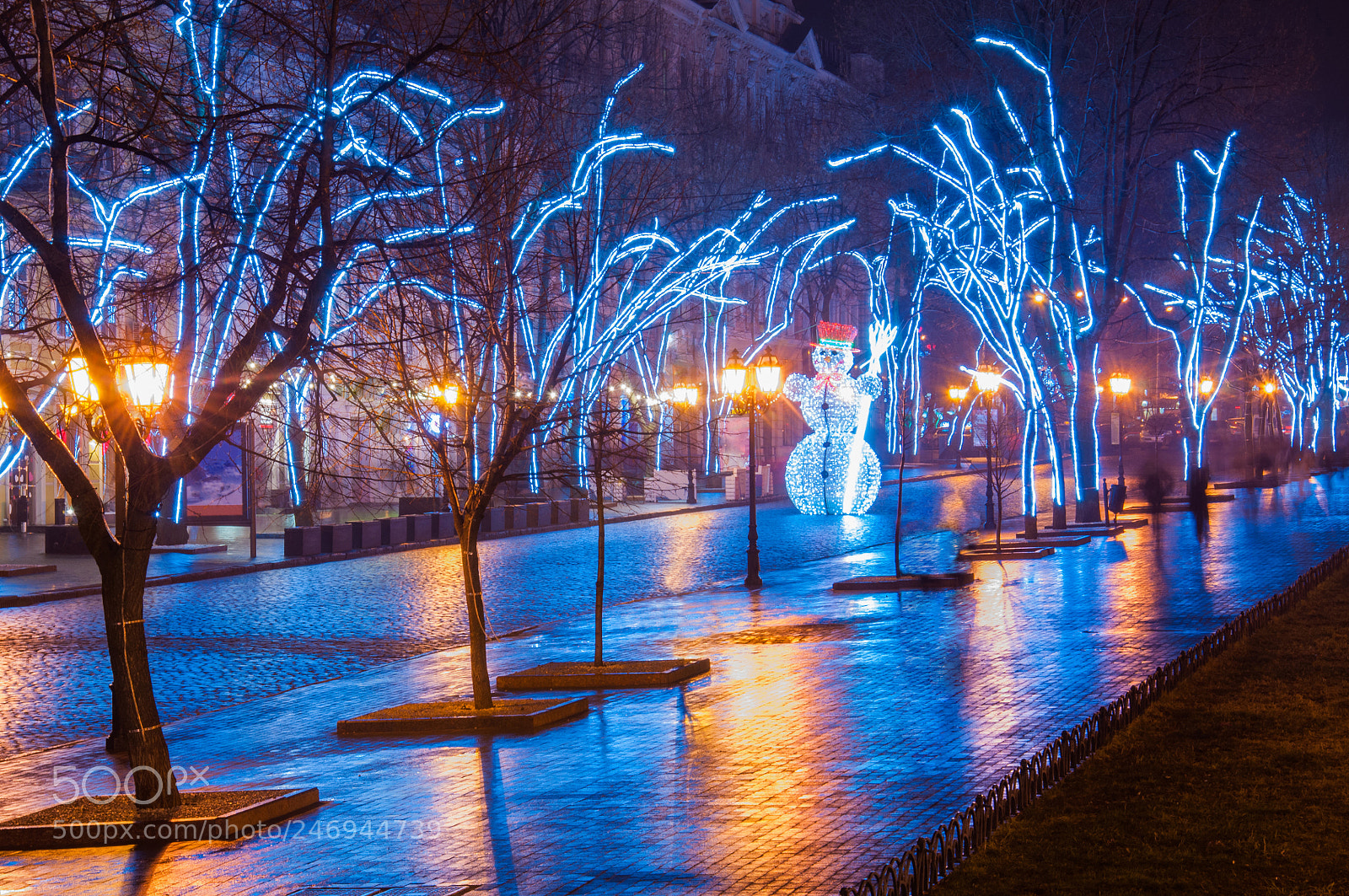 Nikon D90 sample photo. Night walk photography