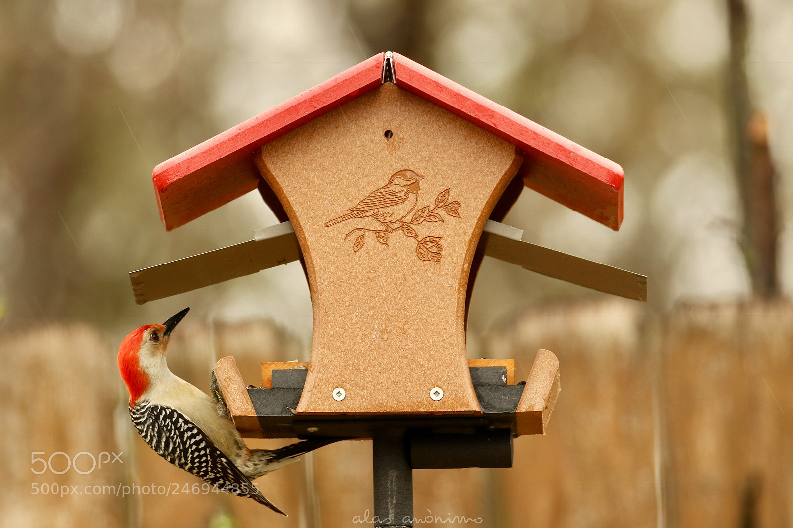 Canon EOS 7D Mark II sample photo. Exploring.....! photography