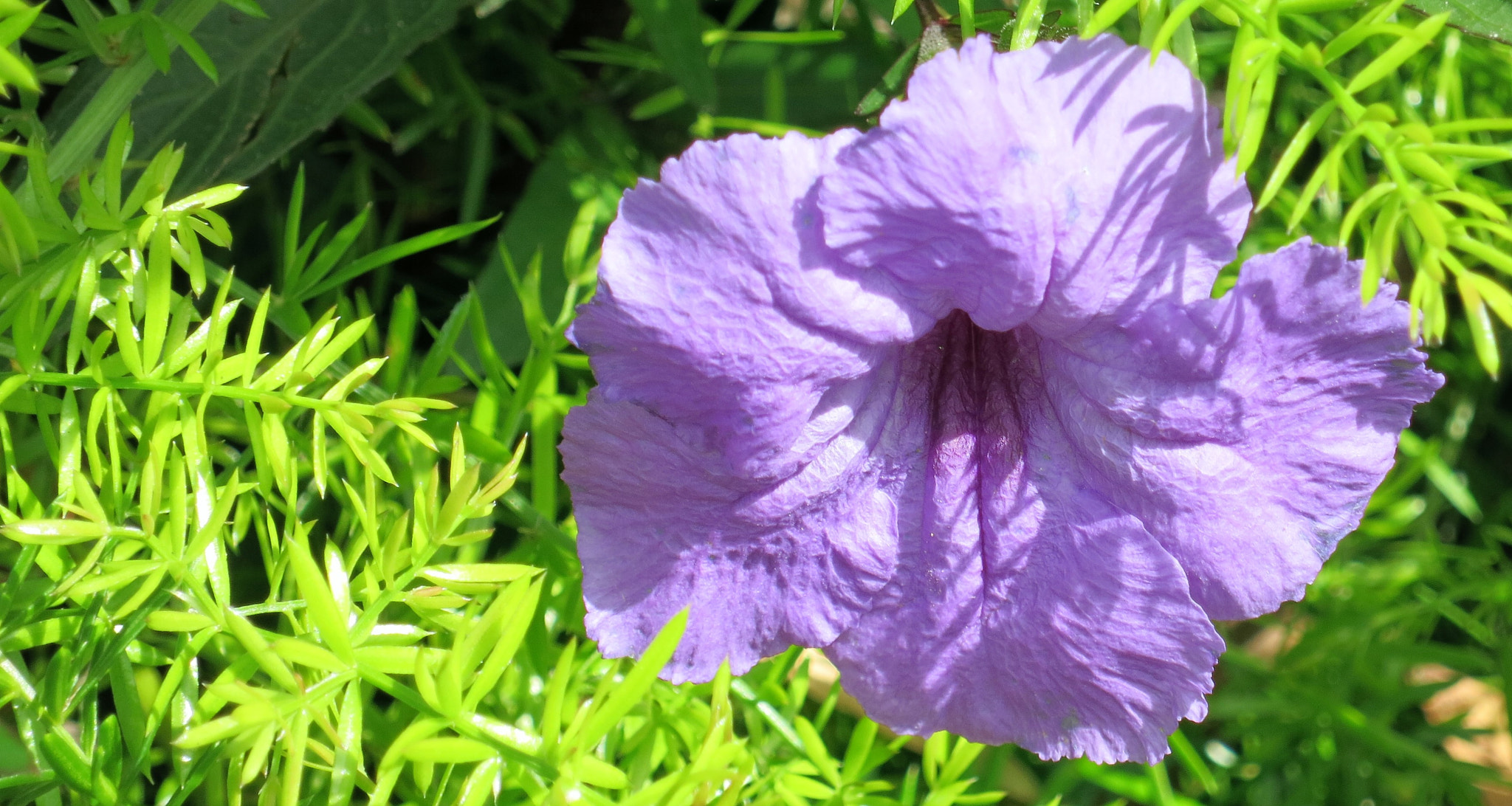 Canon PowerShot S110 sample photo. () photography