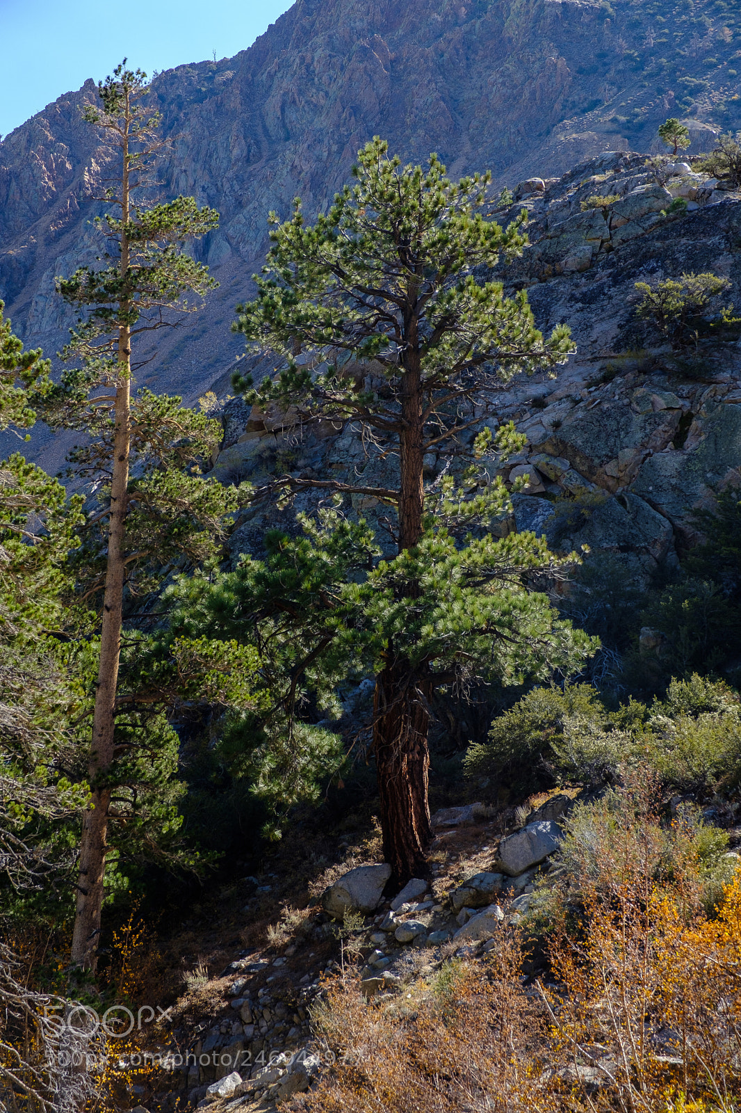Fujifilm X-T2 sample photo. The eastern sierras 5436 photography