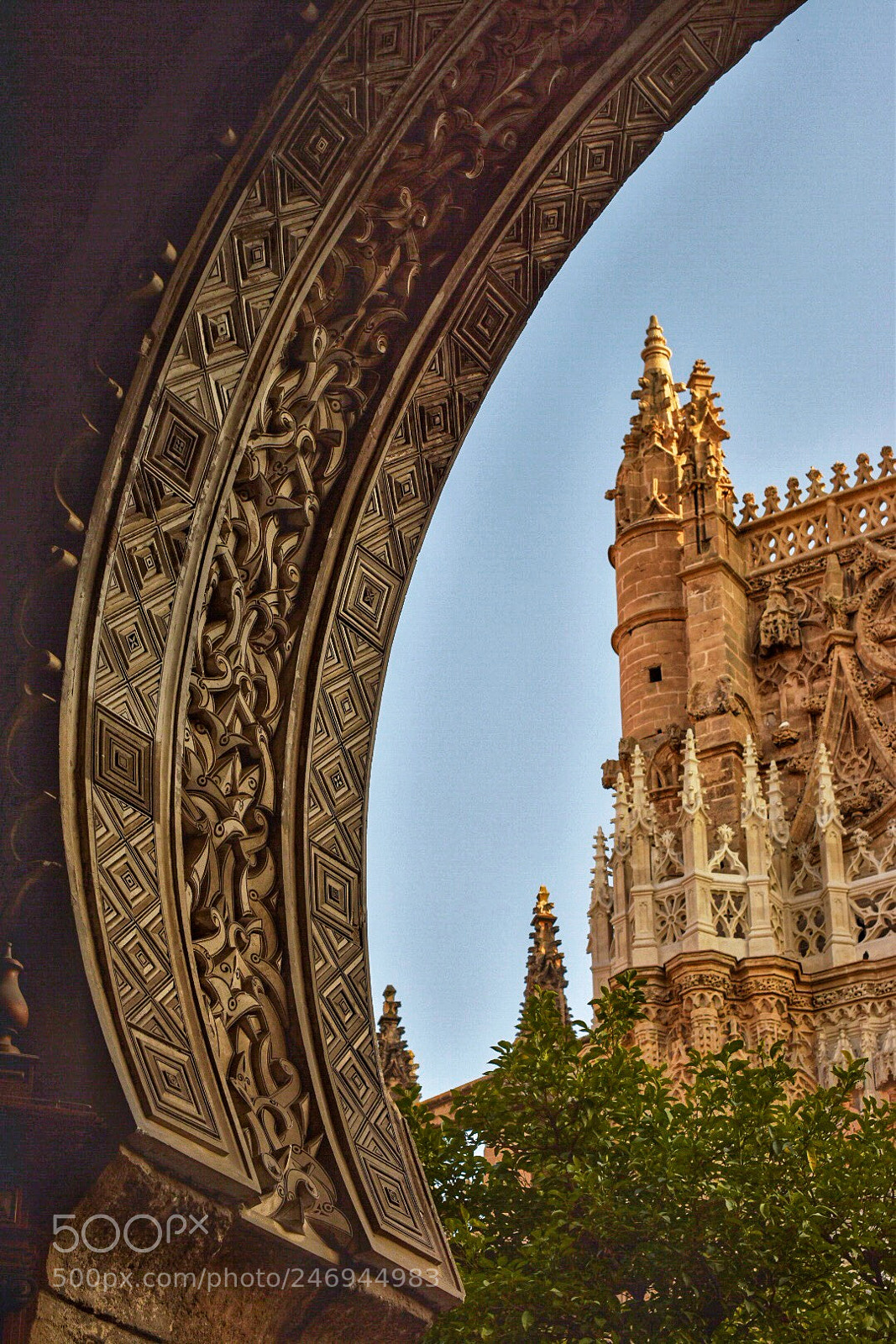 Nikon D5600 sample photo. Sevilla photography