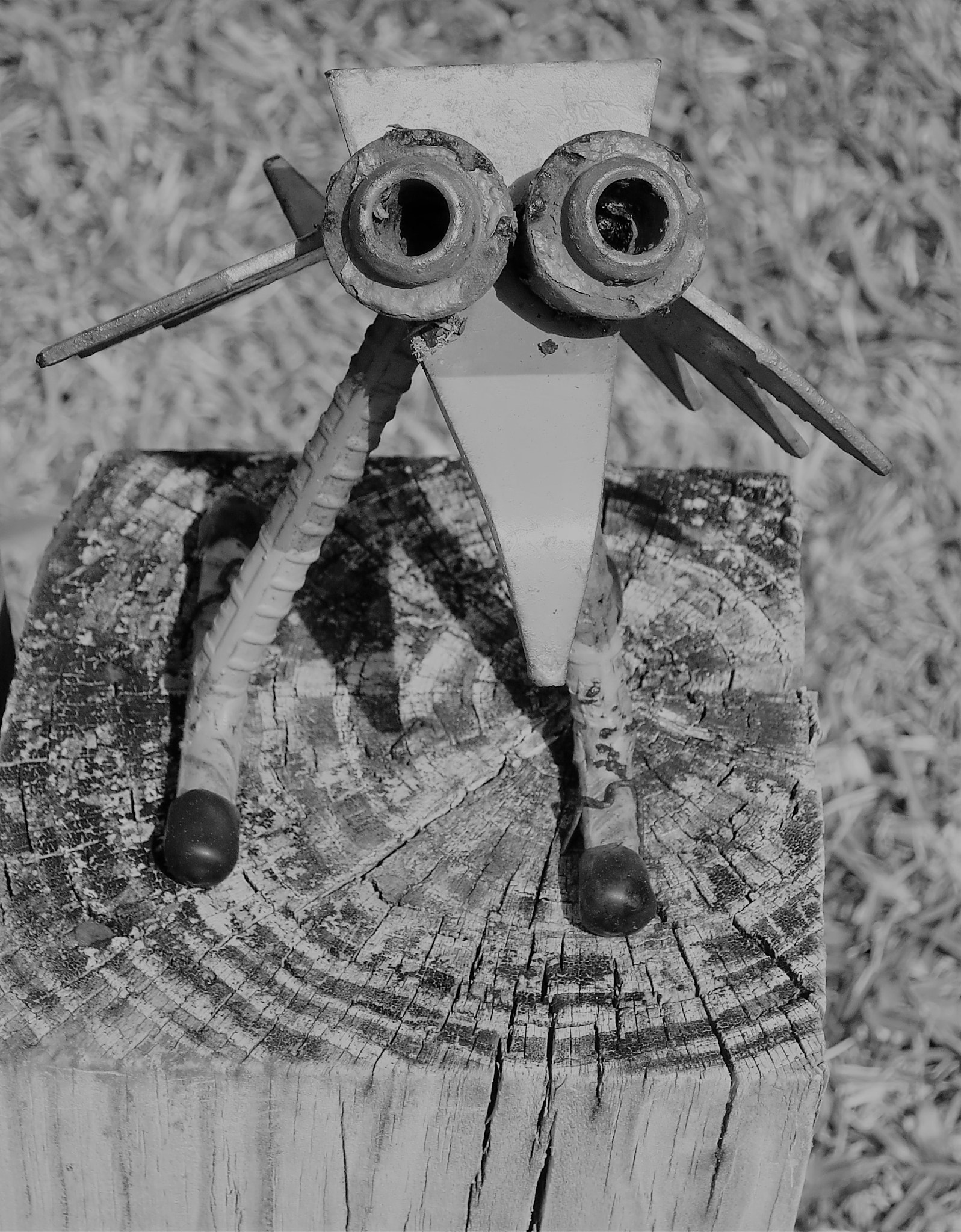 Canon PowerShot S110 sample photo. Iron bird photography