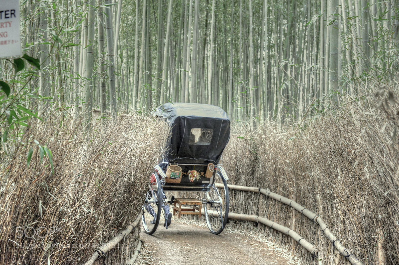 Nikon D800 sample photo. Rickshaw photography