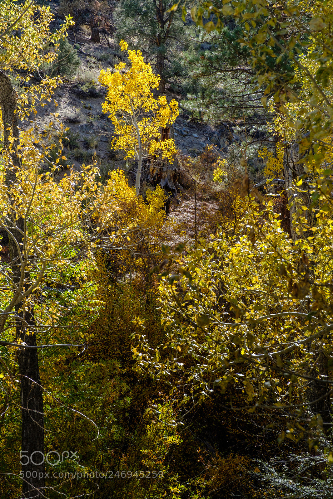 Fujifilm X-T2 sample photo. The eastern sierras 5495 photography